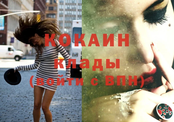 твердый Каменск-Шахтинский